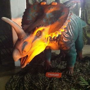 Meet your Posher, Charlene